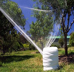 Bird Net